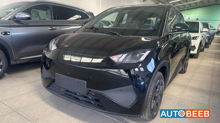 بي واي دي سيجول 2025