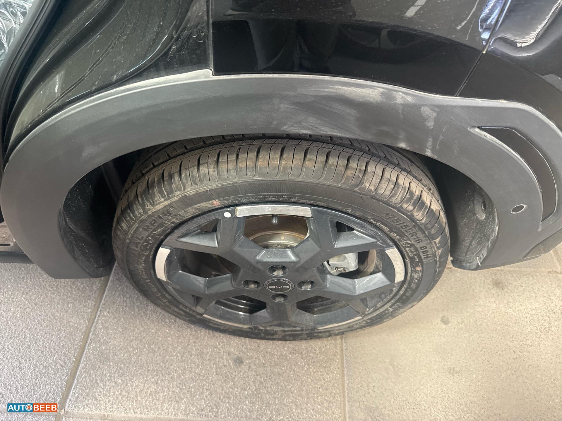 بي واي دي سيجول 2025