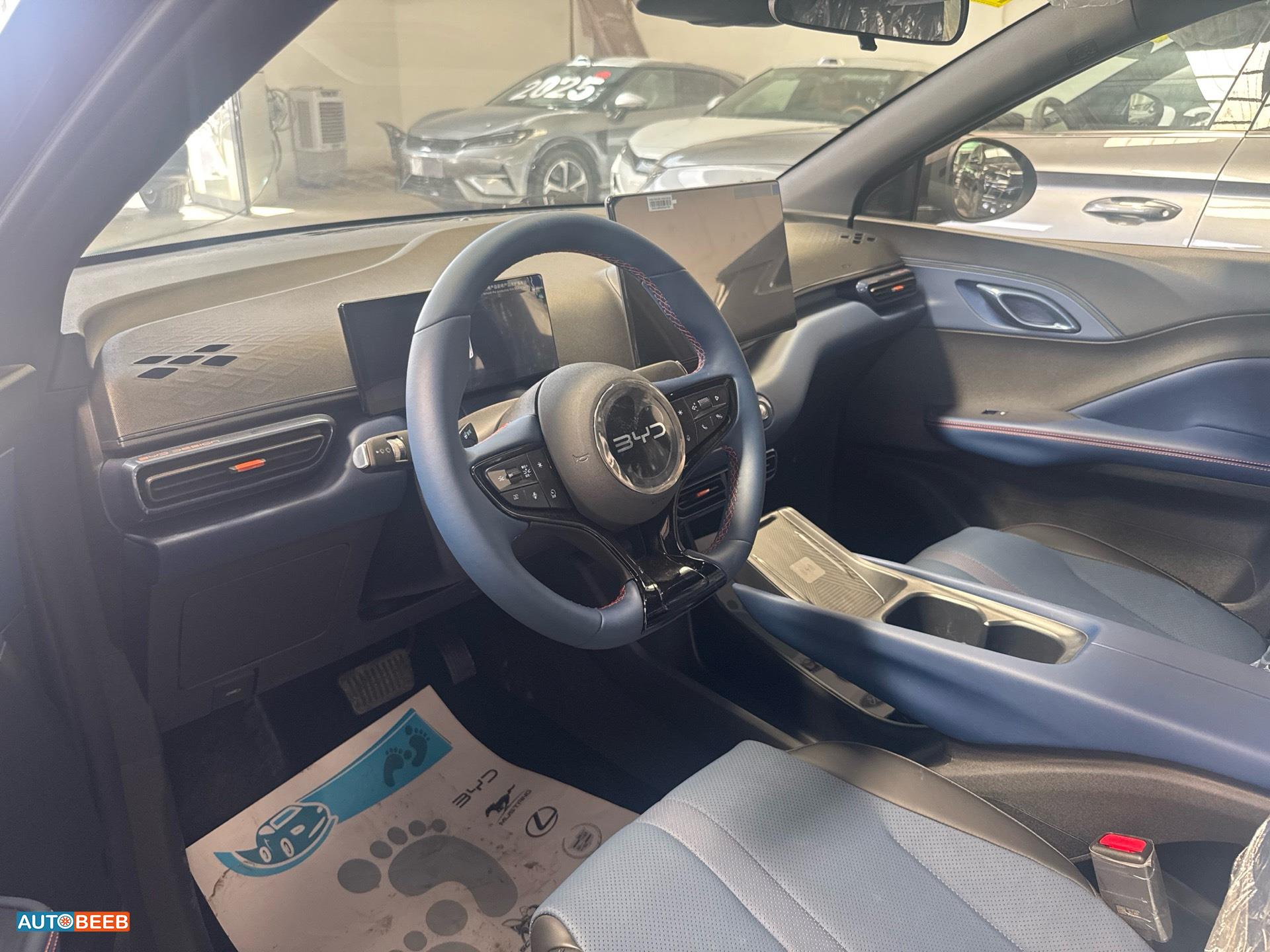 بي واي دي سيجول 2025