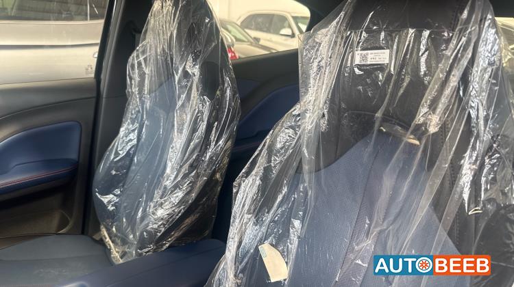 بي واي دي سيجول 2025