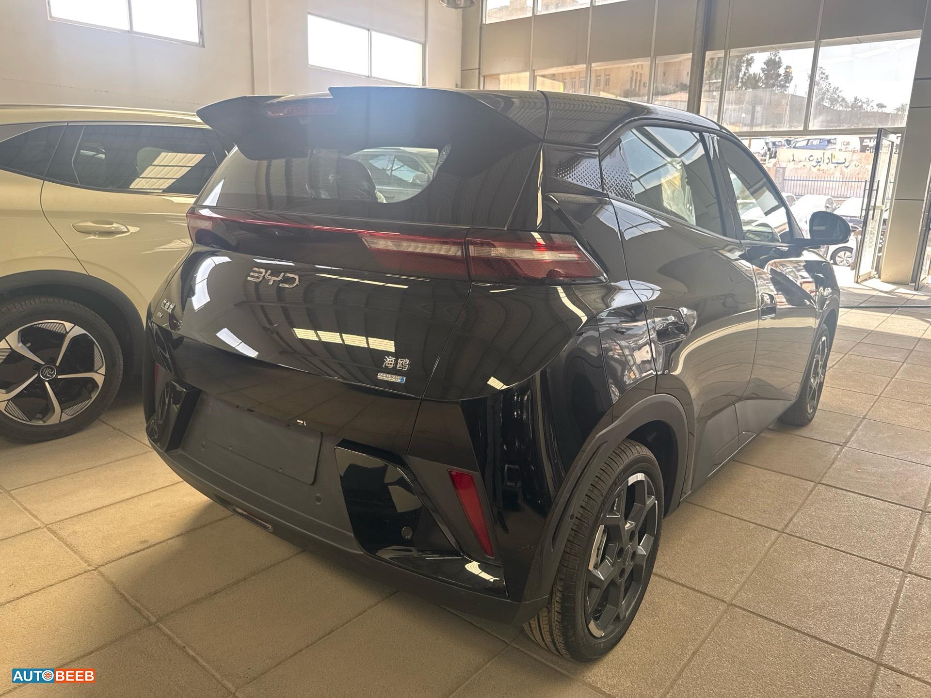 بي واي دي سيجول 2025