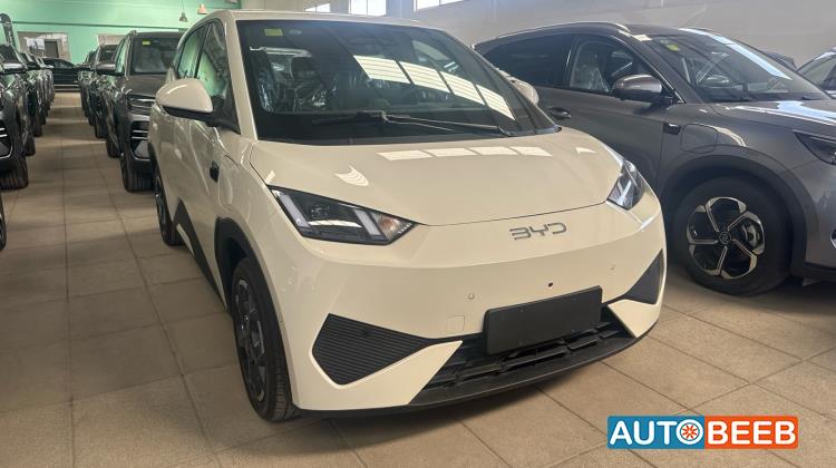 BYD Seagull 2025