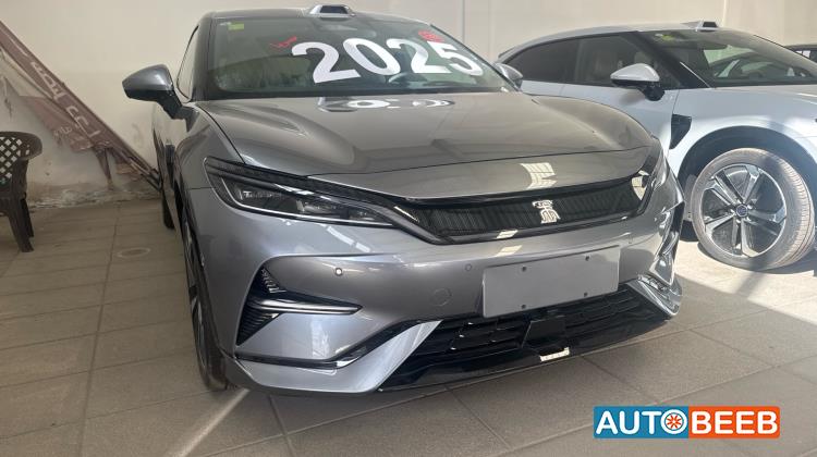 BYD Song L 2025
