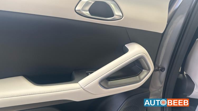 بي واي دي يوان 2025