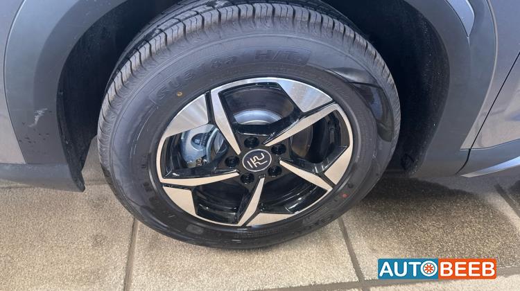 بي واي دي يوان 2025