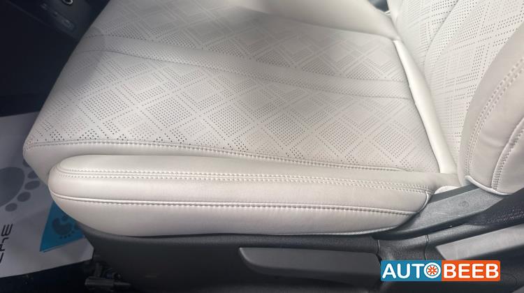 بي واي دي يوان 2025