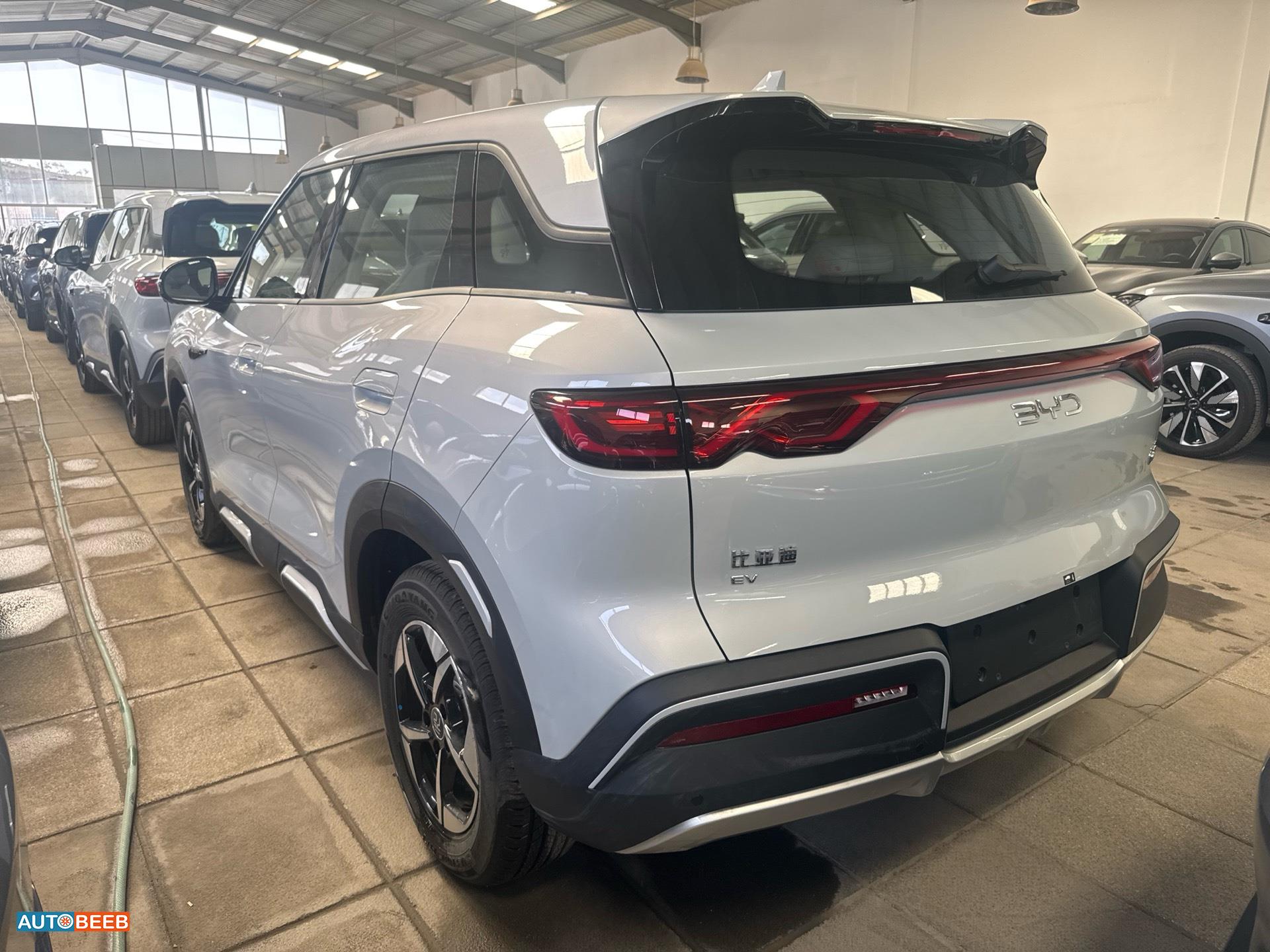 بي واي دي يوان 2025