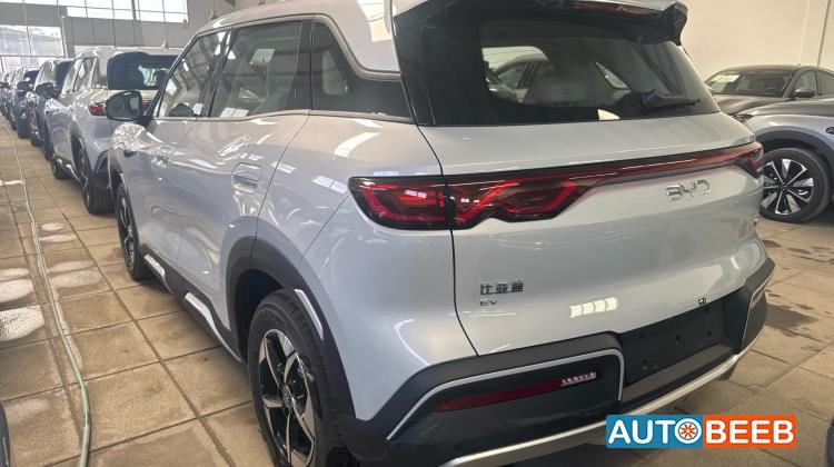 بي واي دي يوان 2025