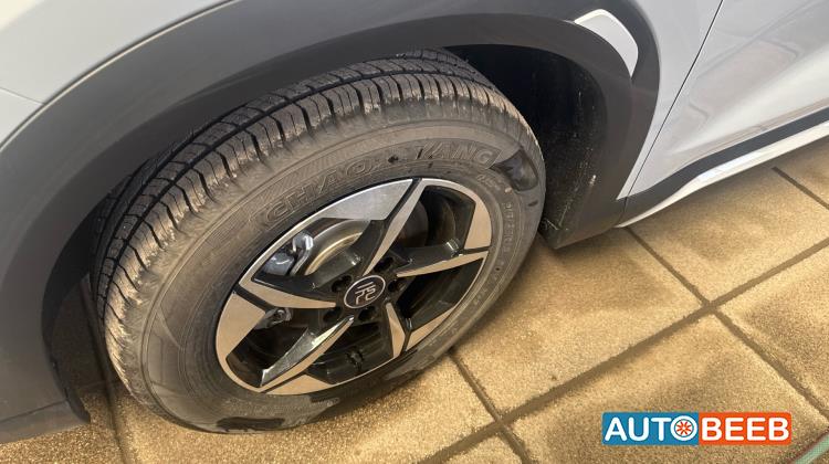 بي واي دي يوان 2025