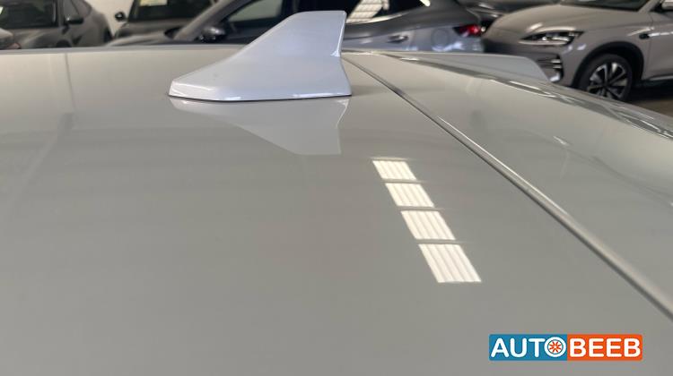 بي واي دي يوان 2025