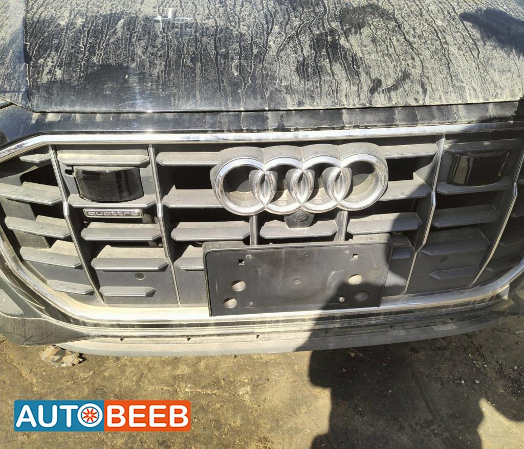 Body  Grilles Audi Q8