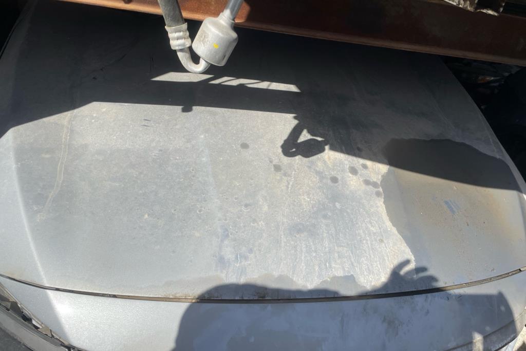 Body  Hood Honda Accord