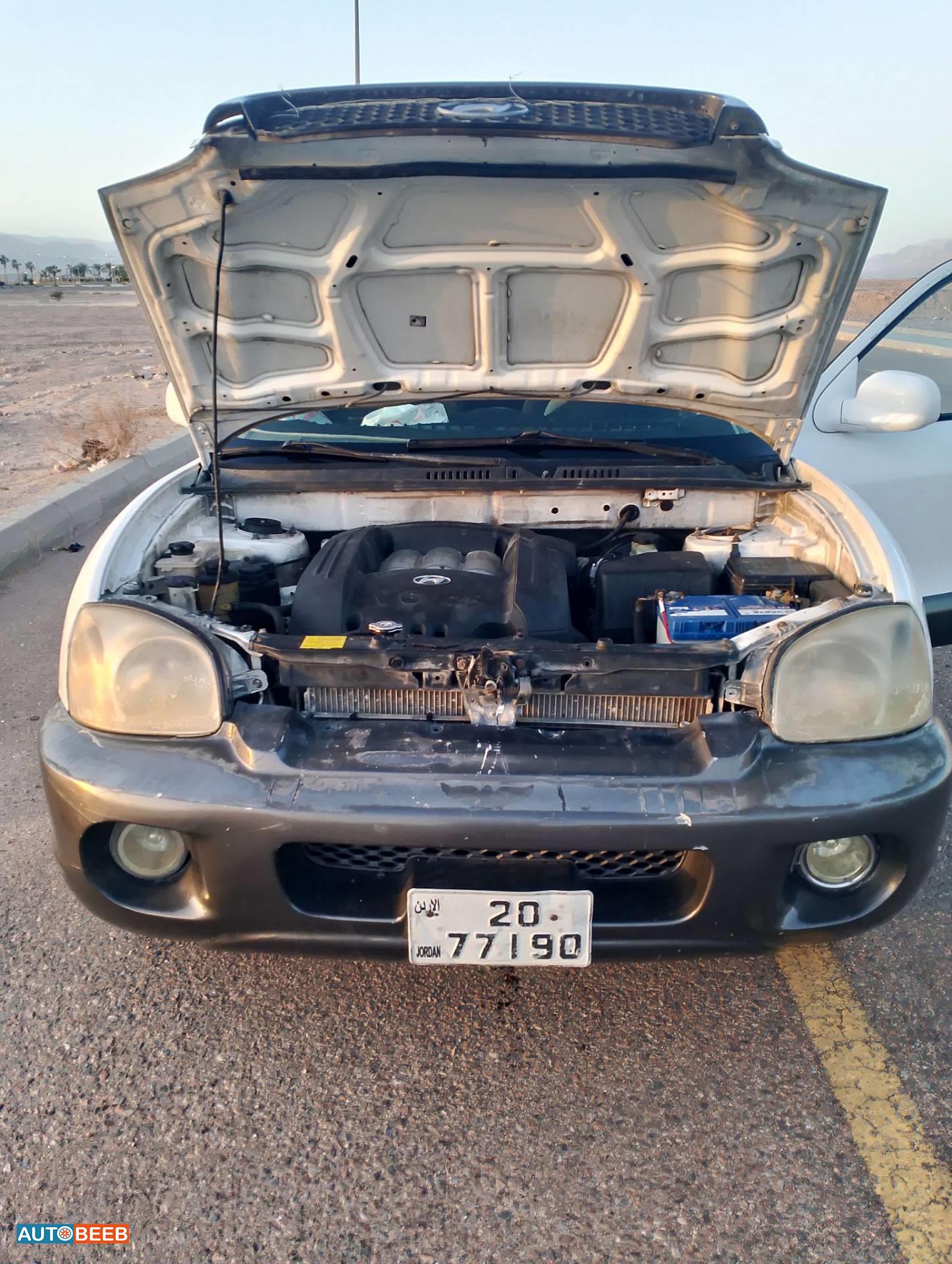 Hyundai Santa Fe 2002