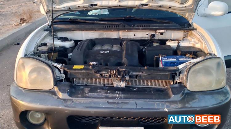 Hyundai Santa Fe 2002