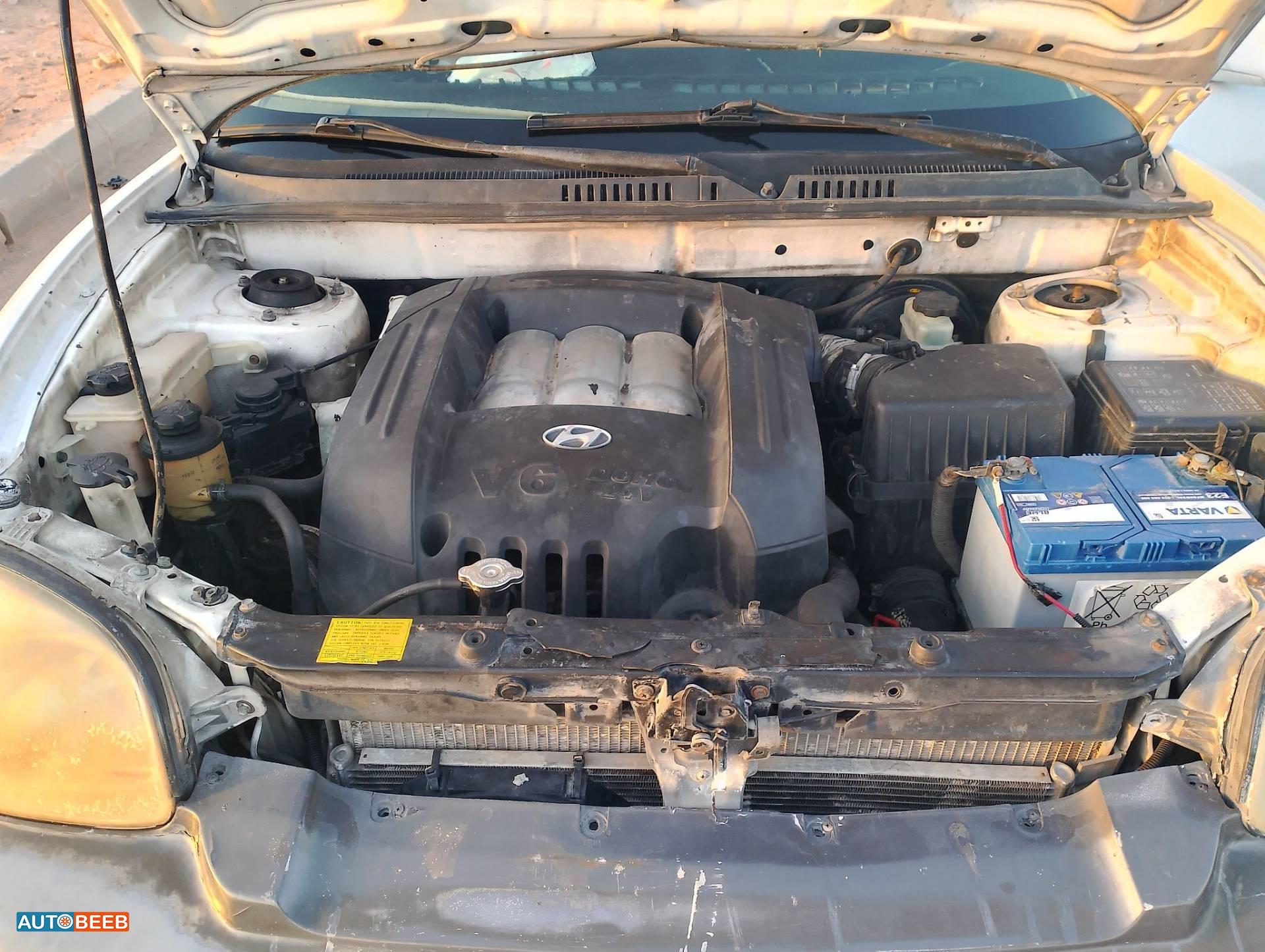 Hyundai Santa Fe 2002