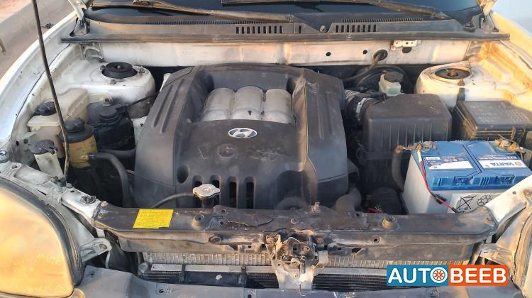 Hyundai Santa Fe 2002