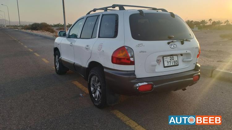 Hyundai Santa Fe 2002