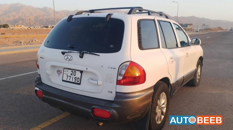 Hyundai Santa Fe 2002