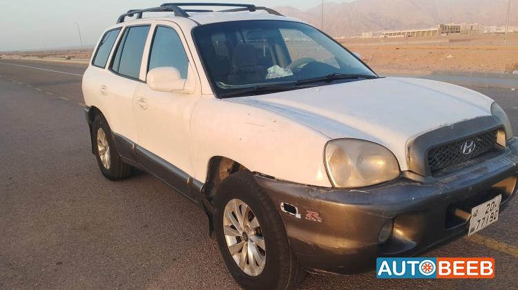 Hyundai Santa Fe 2002