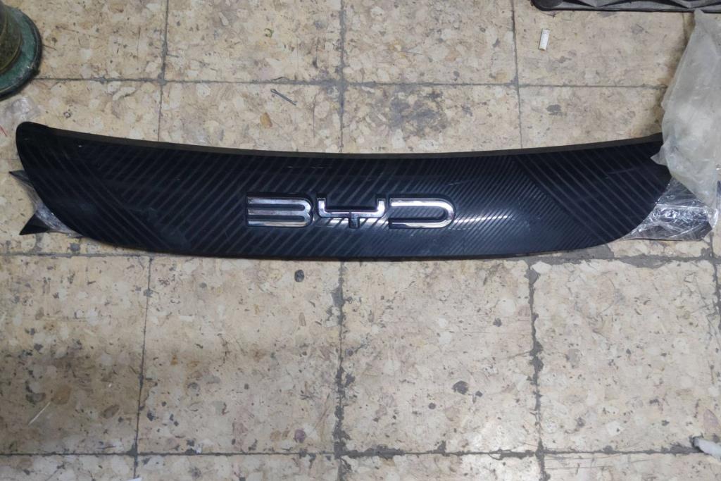 Body  Grilles BYD Dolphin