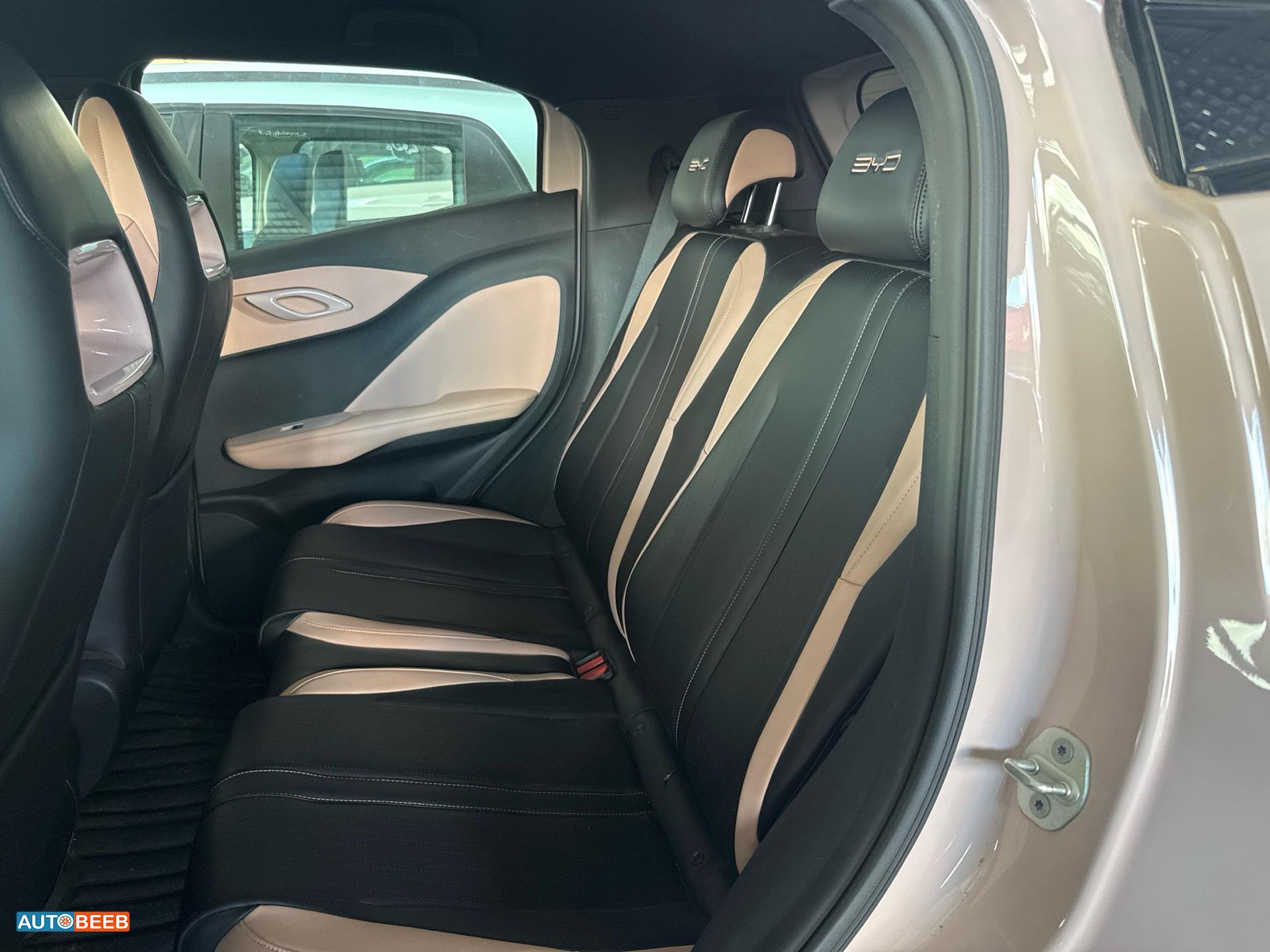 بي واي دي سيجول 2023