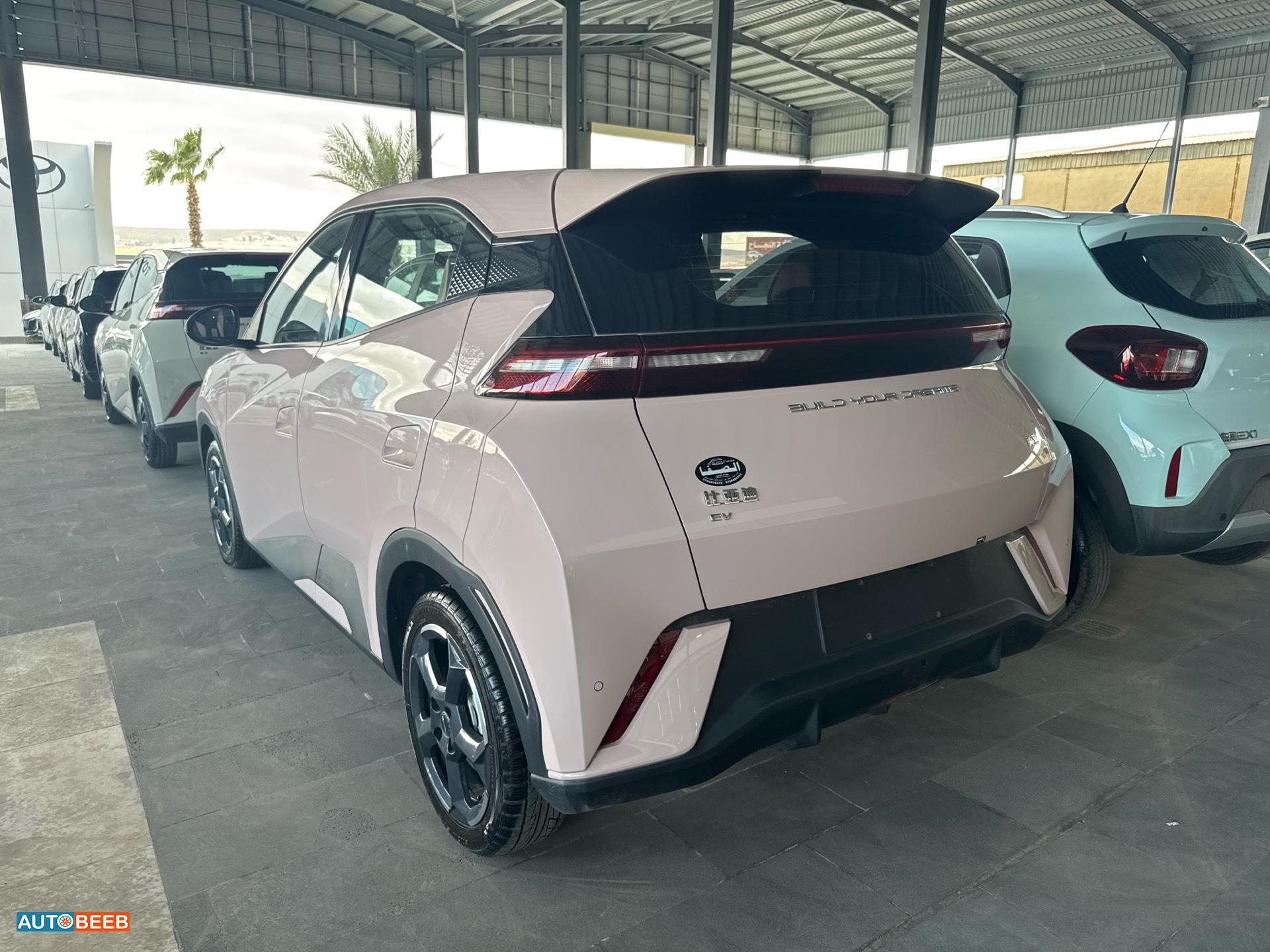 بي واي دي سيجول 2023