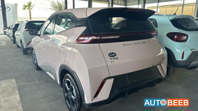 بي واي دي سيجول 2023