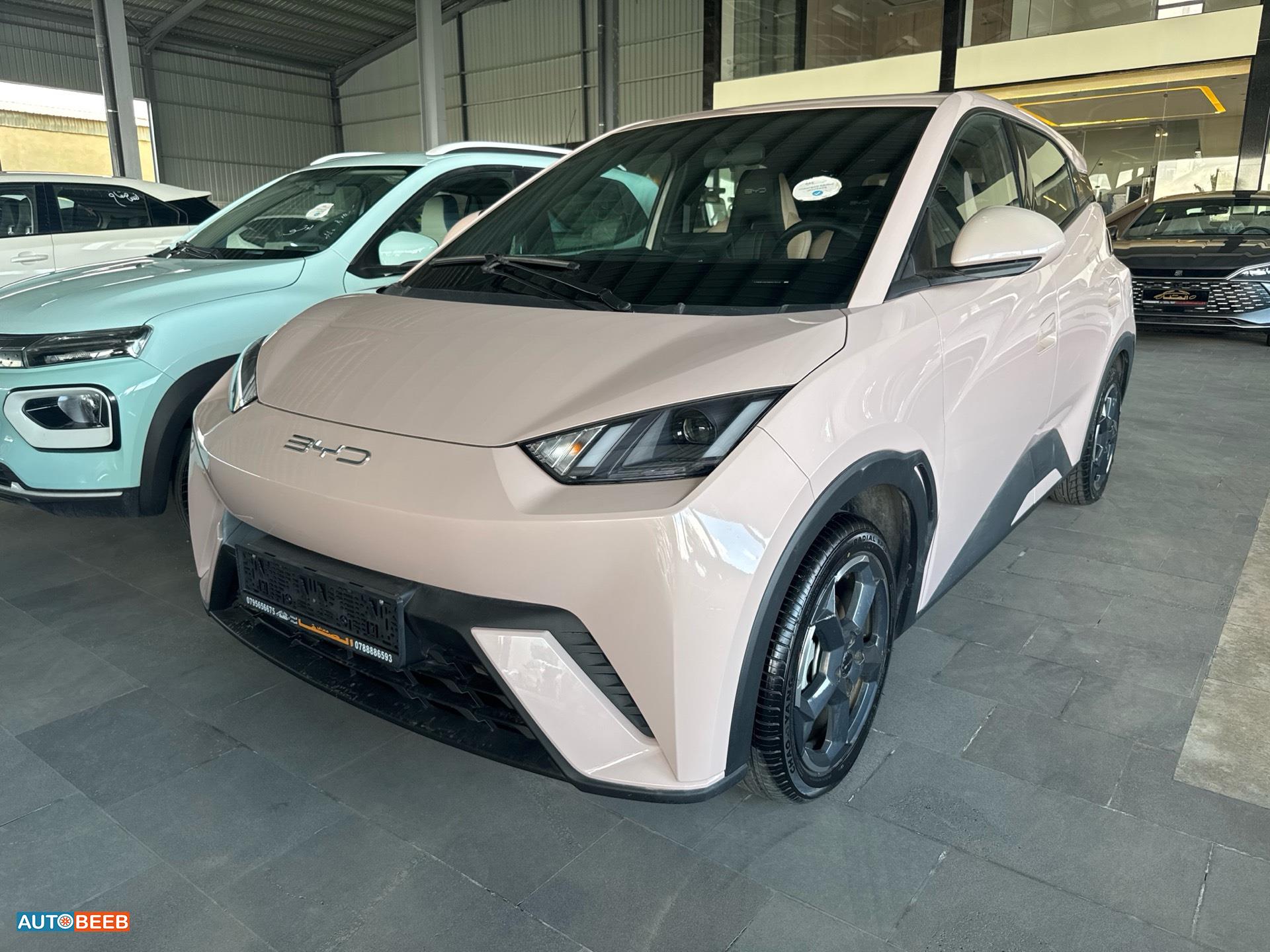 بي واي دي سيجول 2023