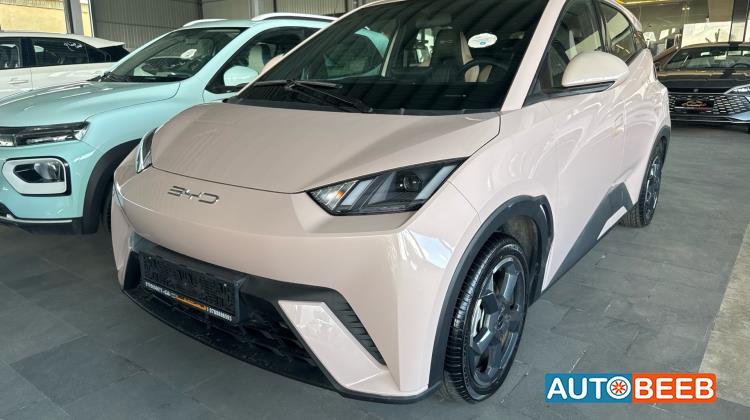 بي واي دي سيجول 2023