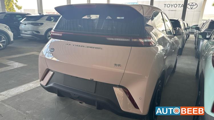 بي واي دي سيجول 2023