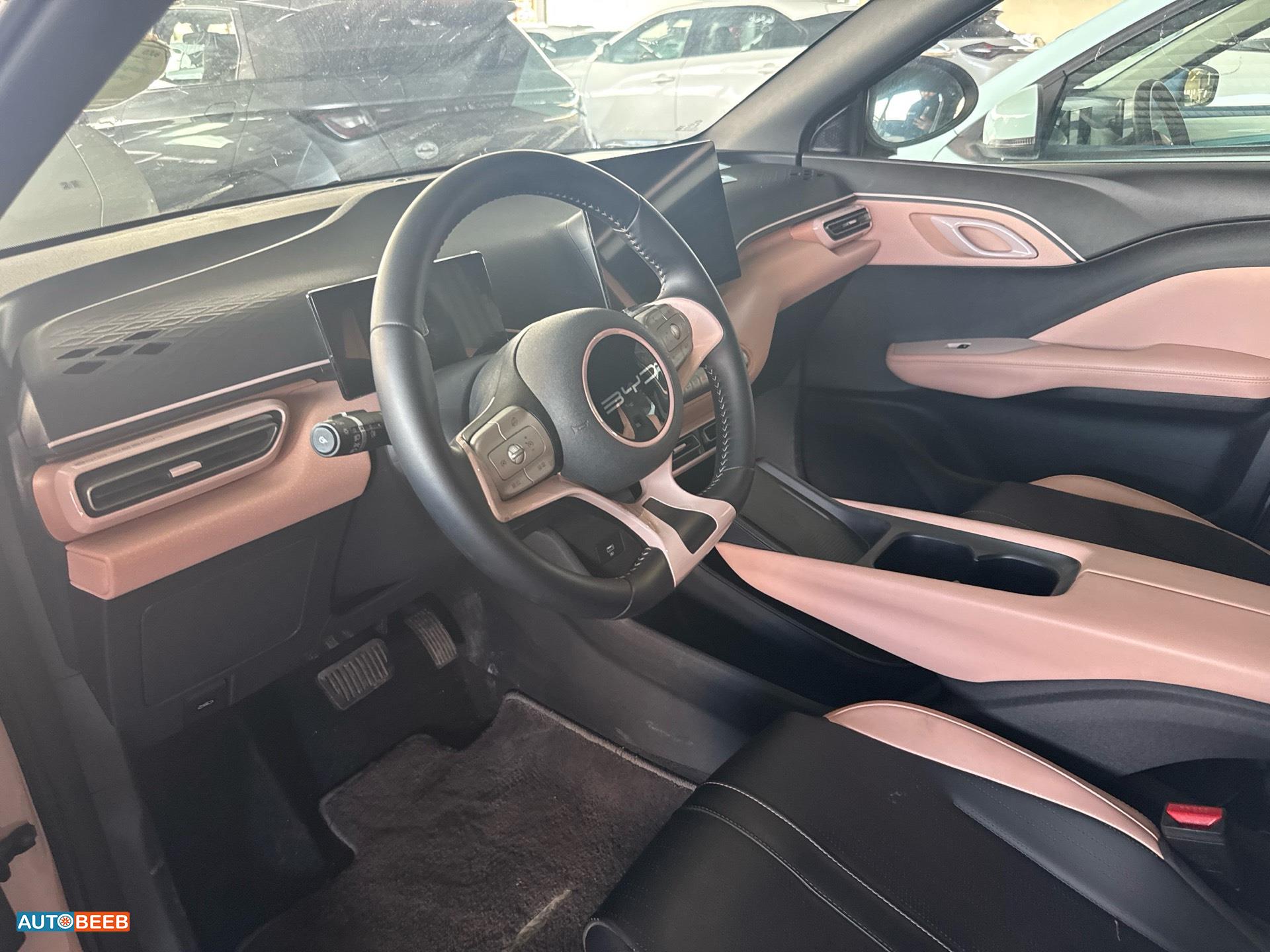 بي واي دي سيجول 2023