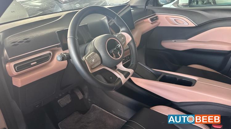 بي واي دي سيجول 2023