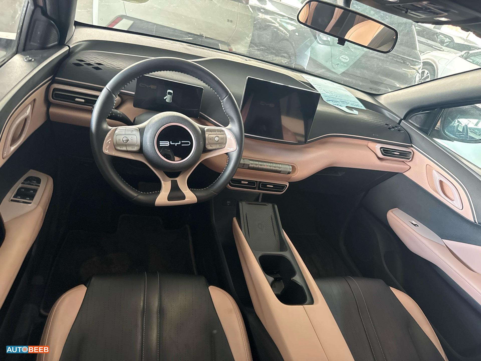 بي واي دي سيجول 2023