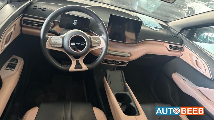 بي واي دي سيجول 2023