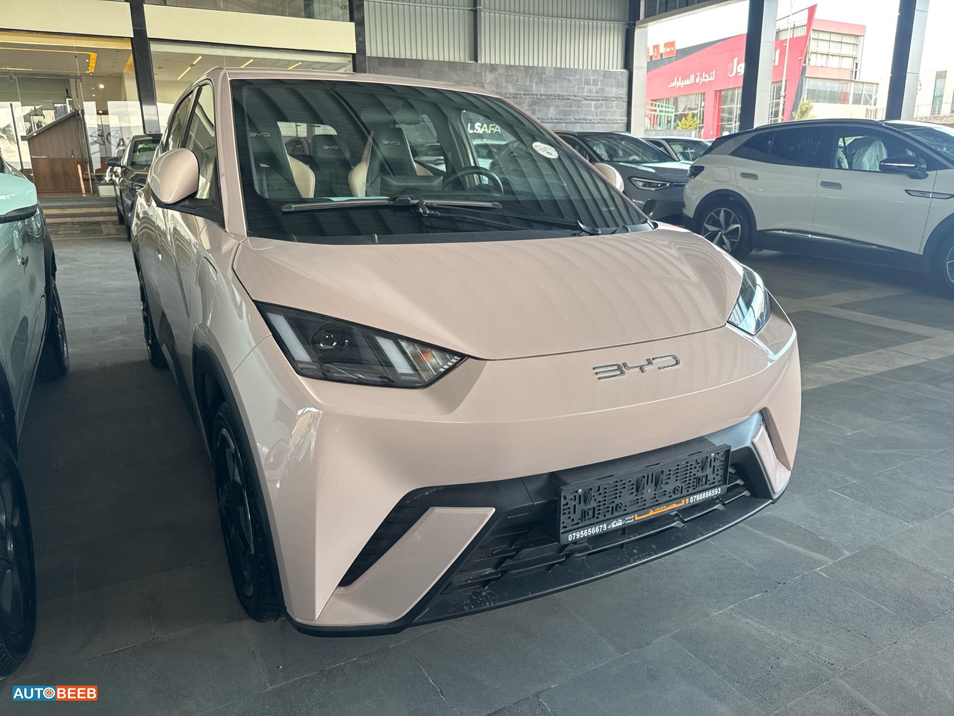 بي واي دي سيجول 2023