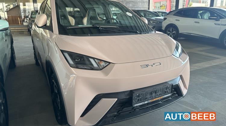 بي واي دي سيجول 2023