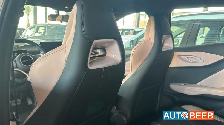 بي واي دي سيجول 2023