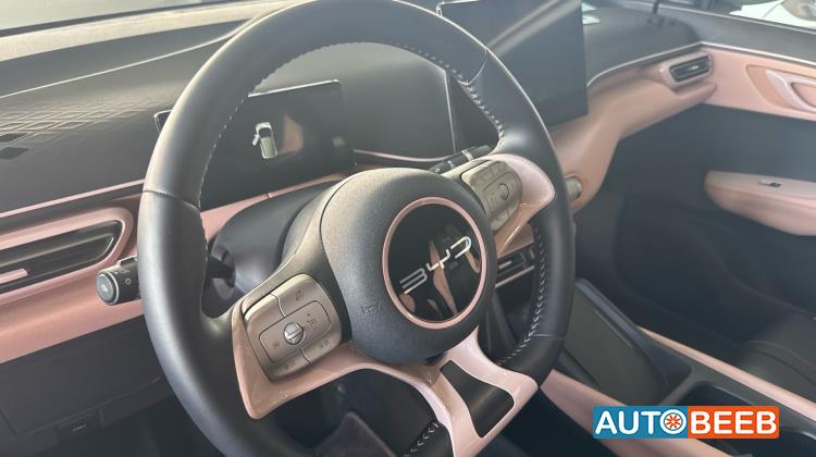 بي واي دي سيجول 2023