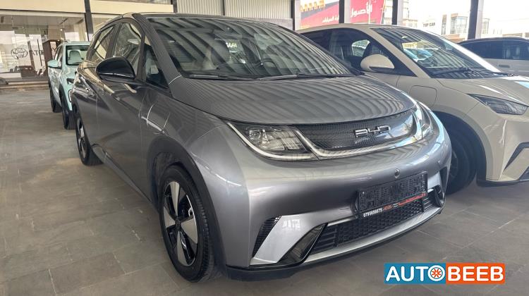 بي واي دي دولفين 2023