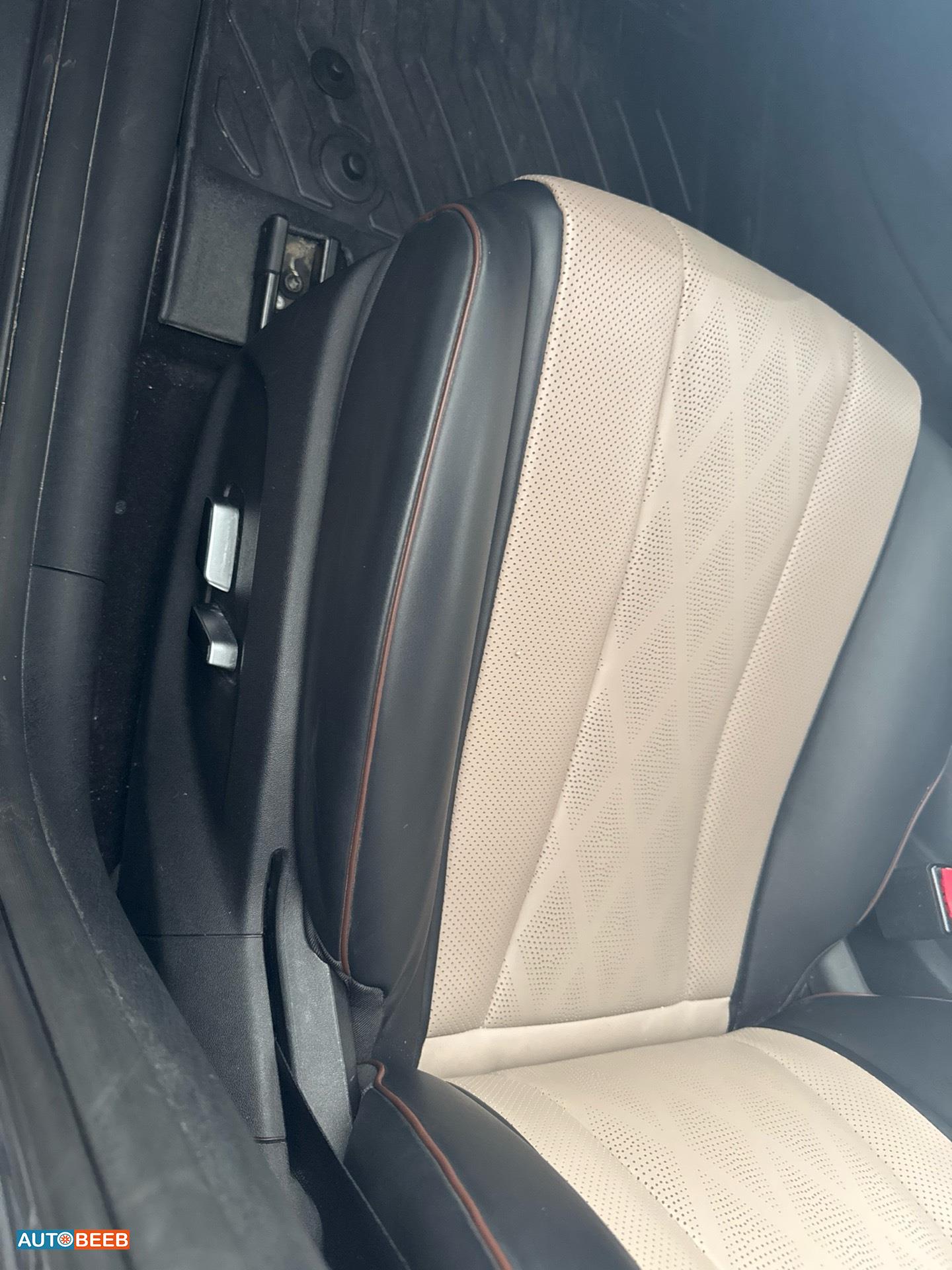 بي واي دي دولفين 2023