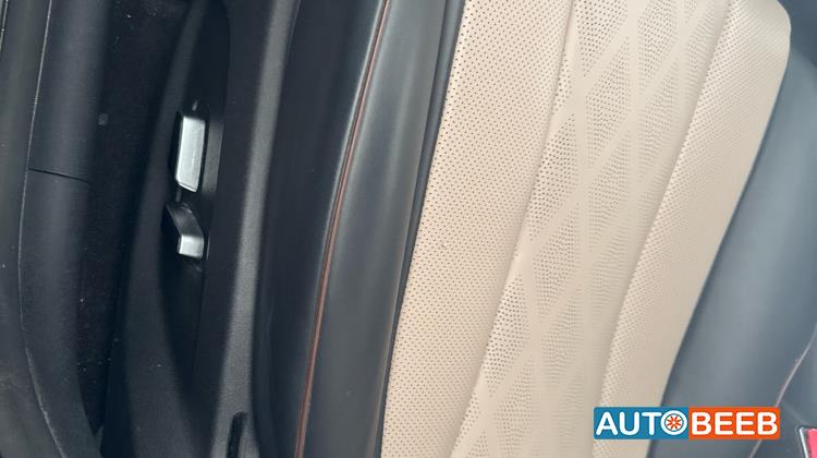 بي واي دي دولفين 2023