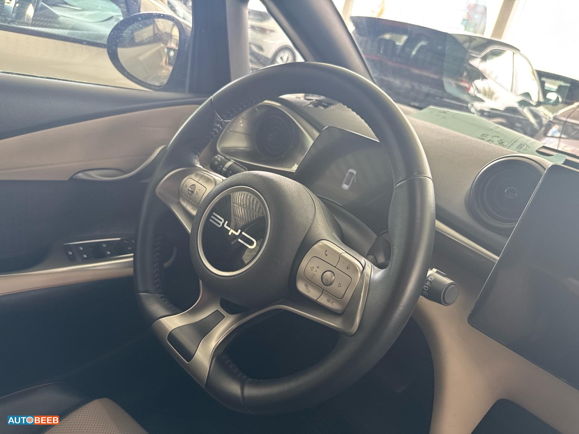 بي واي دي دولفين 2023