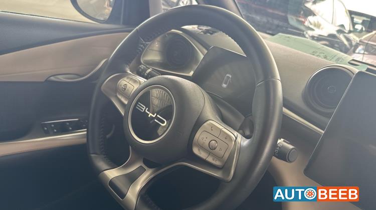 بي واي دي دولفين 2023