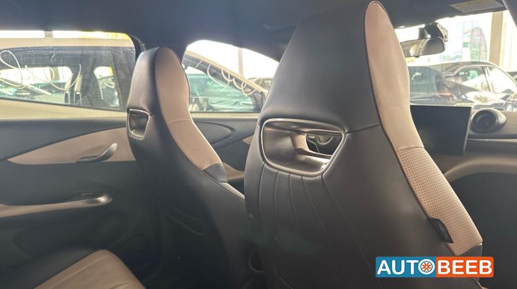 بي واي دي دولفين 2023