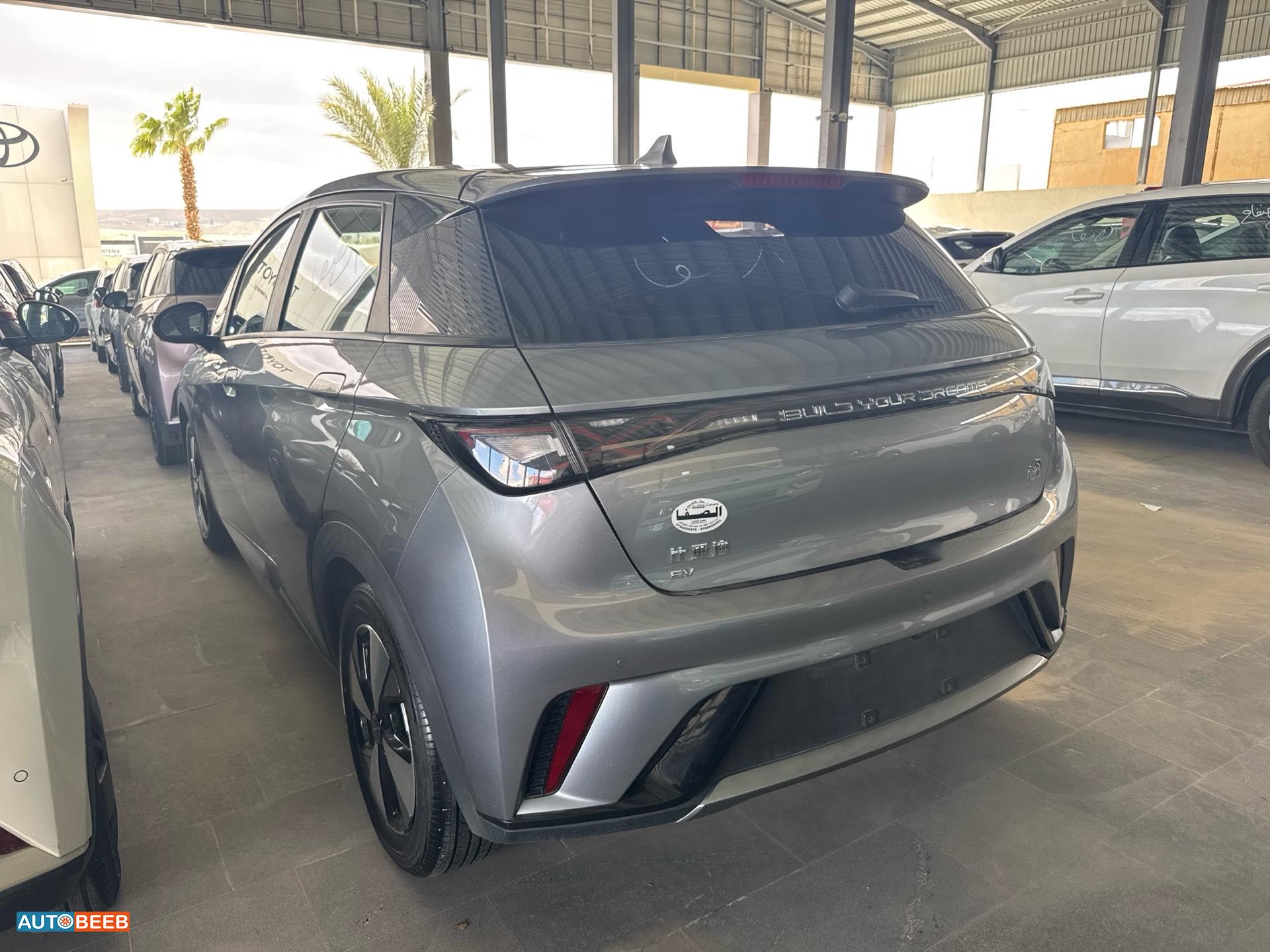 بي واي دي دولفين 2023