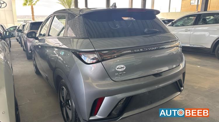 بي واي دي دولفين 2023