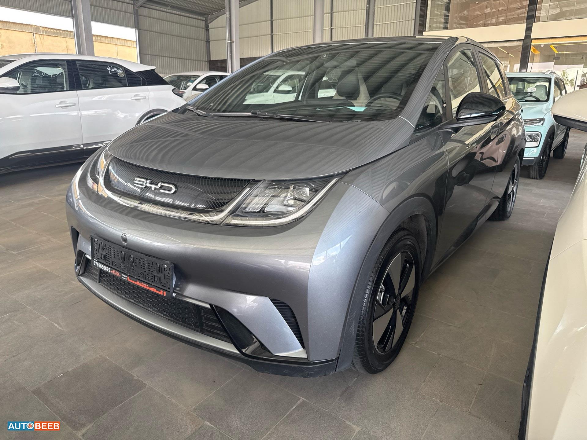 بي واي دي دولفين 2023