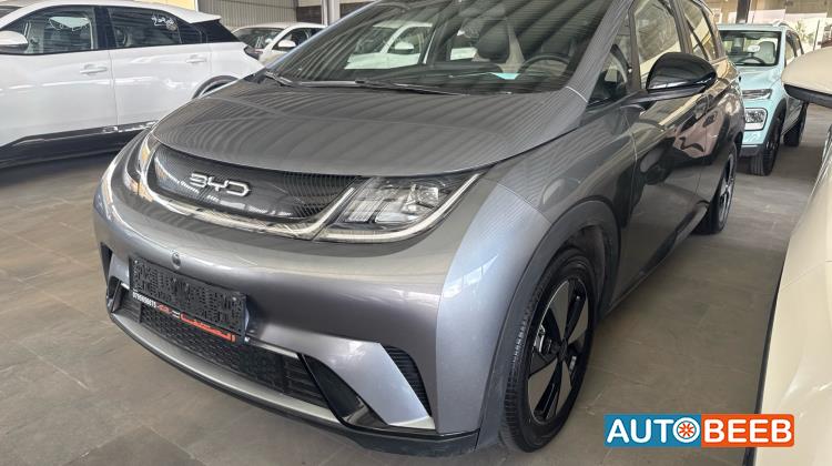 بي واي دي دولفين 2023