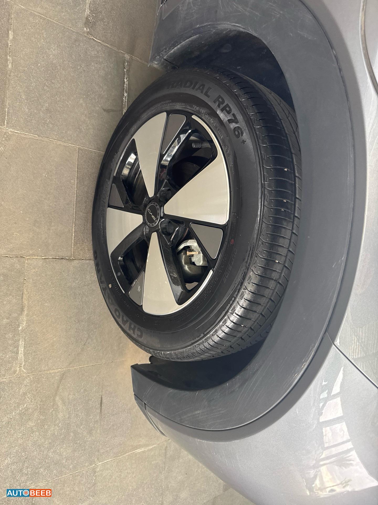 بي واي دي دولفين 2023