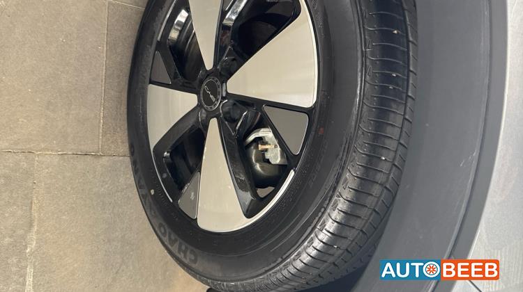 بي واي دي دولفين 2023